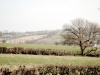 ww-view-1