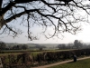 wwview-tree