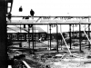 1958 Building New Extension