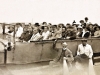 Local charabanc trip