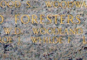 Whilde close up